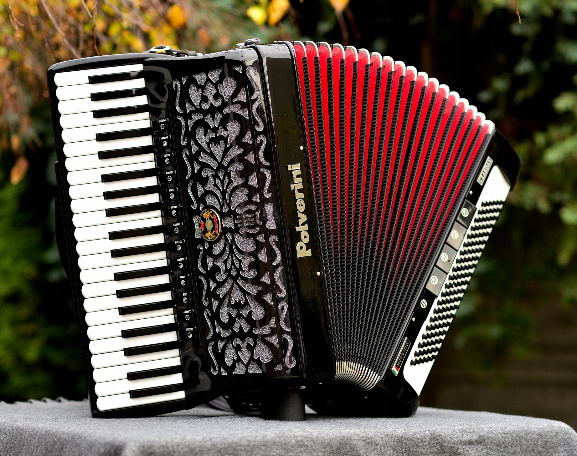 Polverini accordion 2024