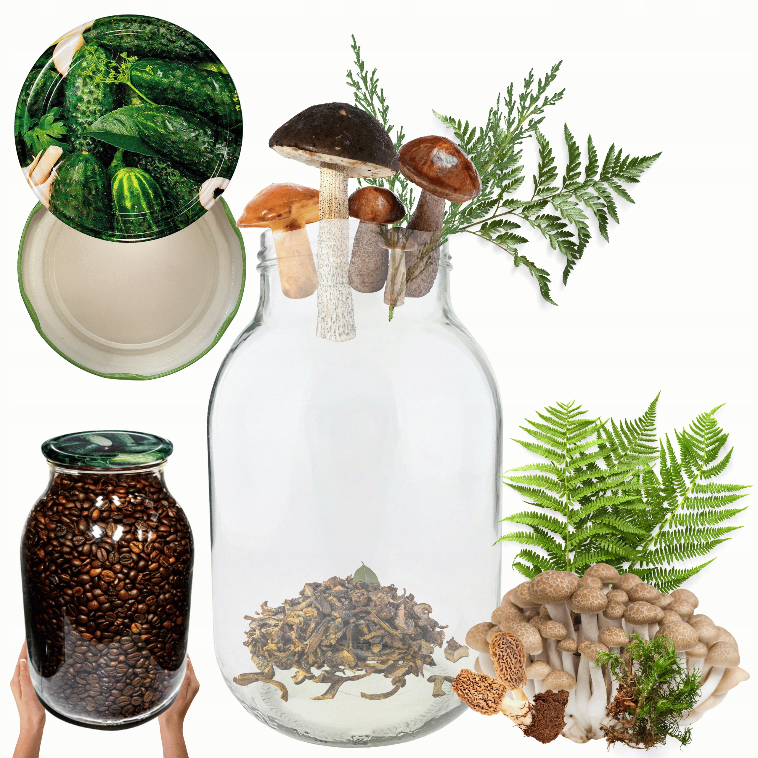 12 x pohár 4000 ml 4 l uhorky cuketa tinktúry Komplet S Pokrievkou 100 mm