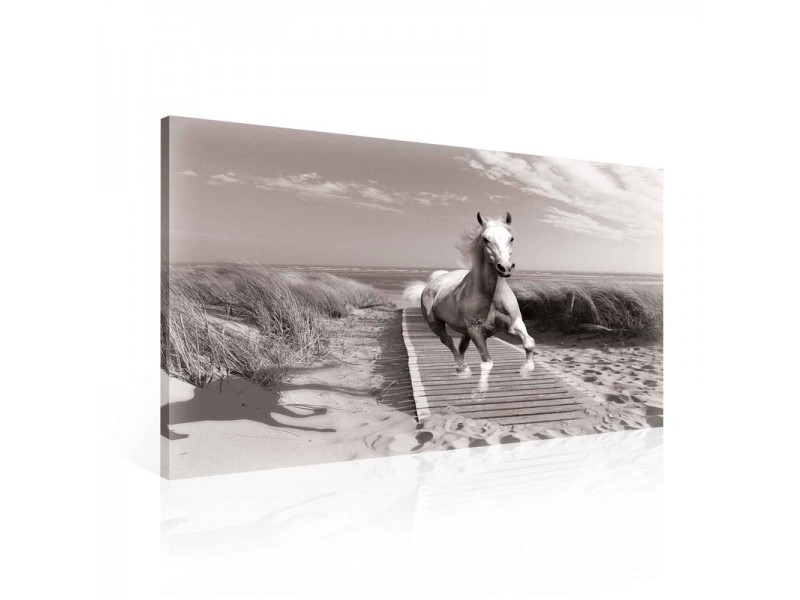 Obraz 100x75 Kůň běh pohyb svoboda pláž moře černobílé příroda dynamika