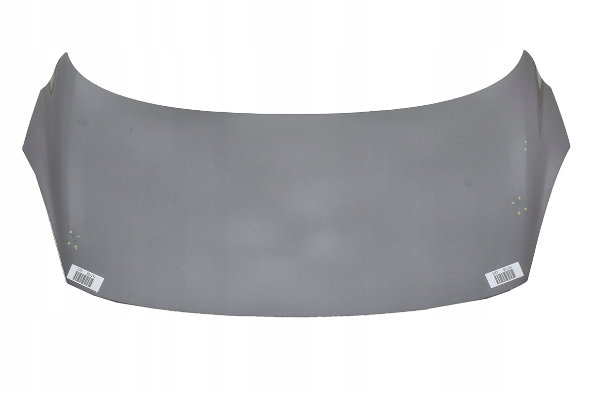 bonnet RENAULT SCENIC III TEKNG