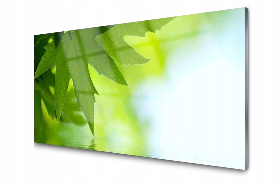 

Panel szklany dekor Liście Roślina 120x60 + Klej