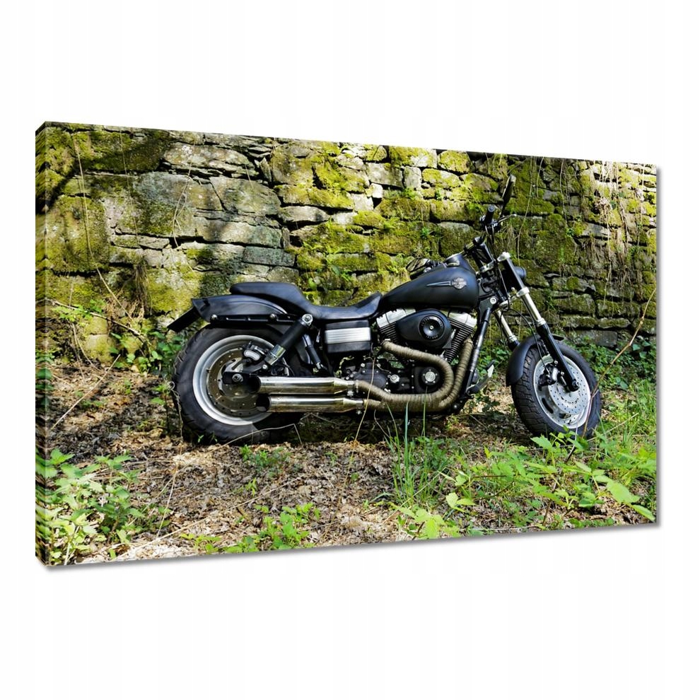 

Obrazy 60x40 Harleyem na wycieczkę