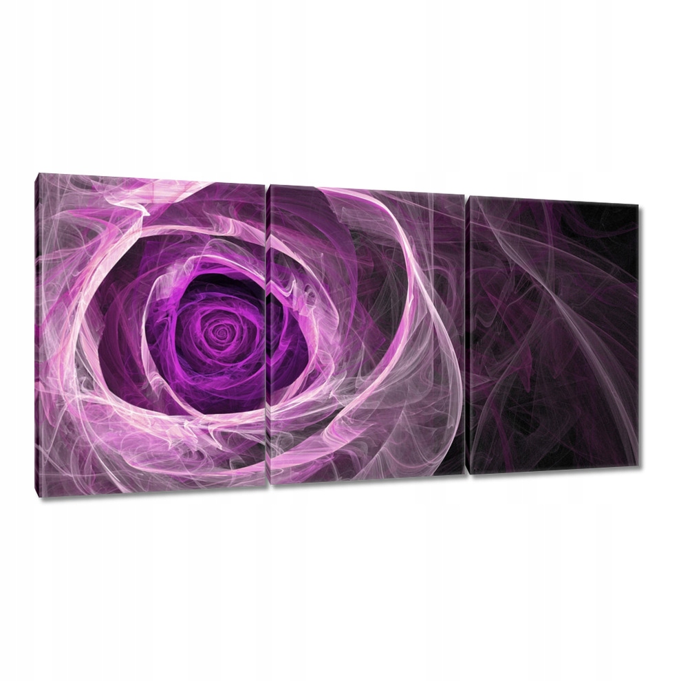 

Obrazy 120x60 Róża fraktalowa