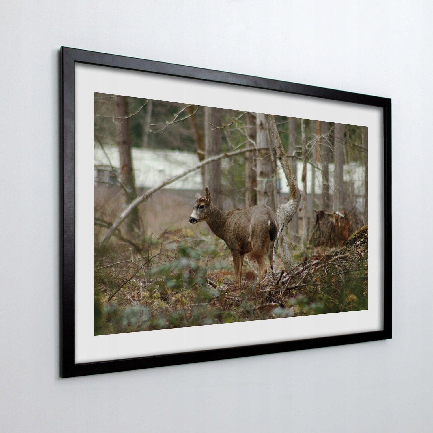 Obraz v rámu na zeď Laň les stromy 100x70 cm