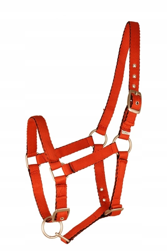 Kantar na źrebaka API BABY czerwony