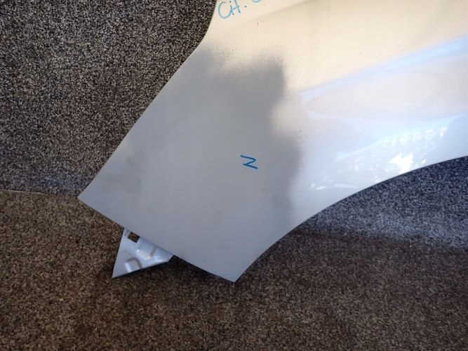 CITROEN C4 10- fender left front front