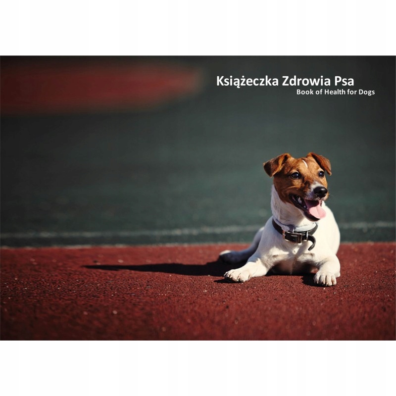 

Książeczka zdrowia psa Jack Russell Terrier