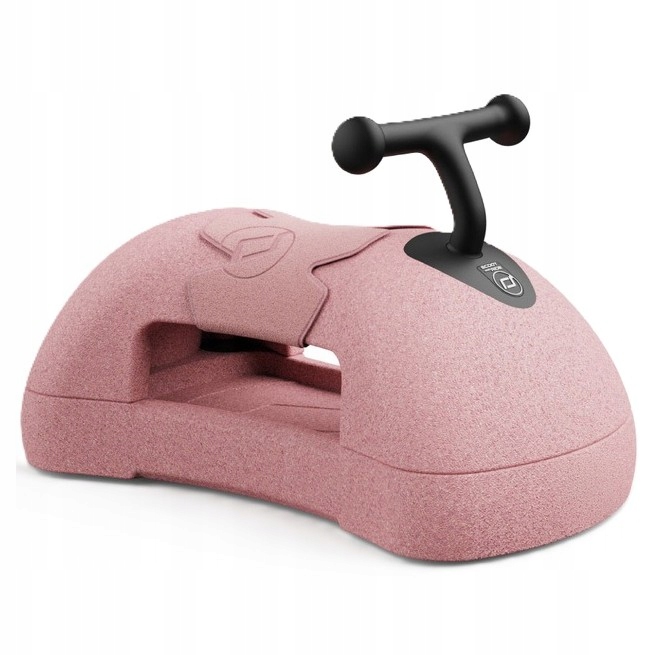 Scootandride My First ewolucyjny jeździk pchacz 3w1 6 m+ Rose