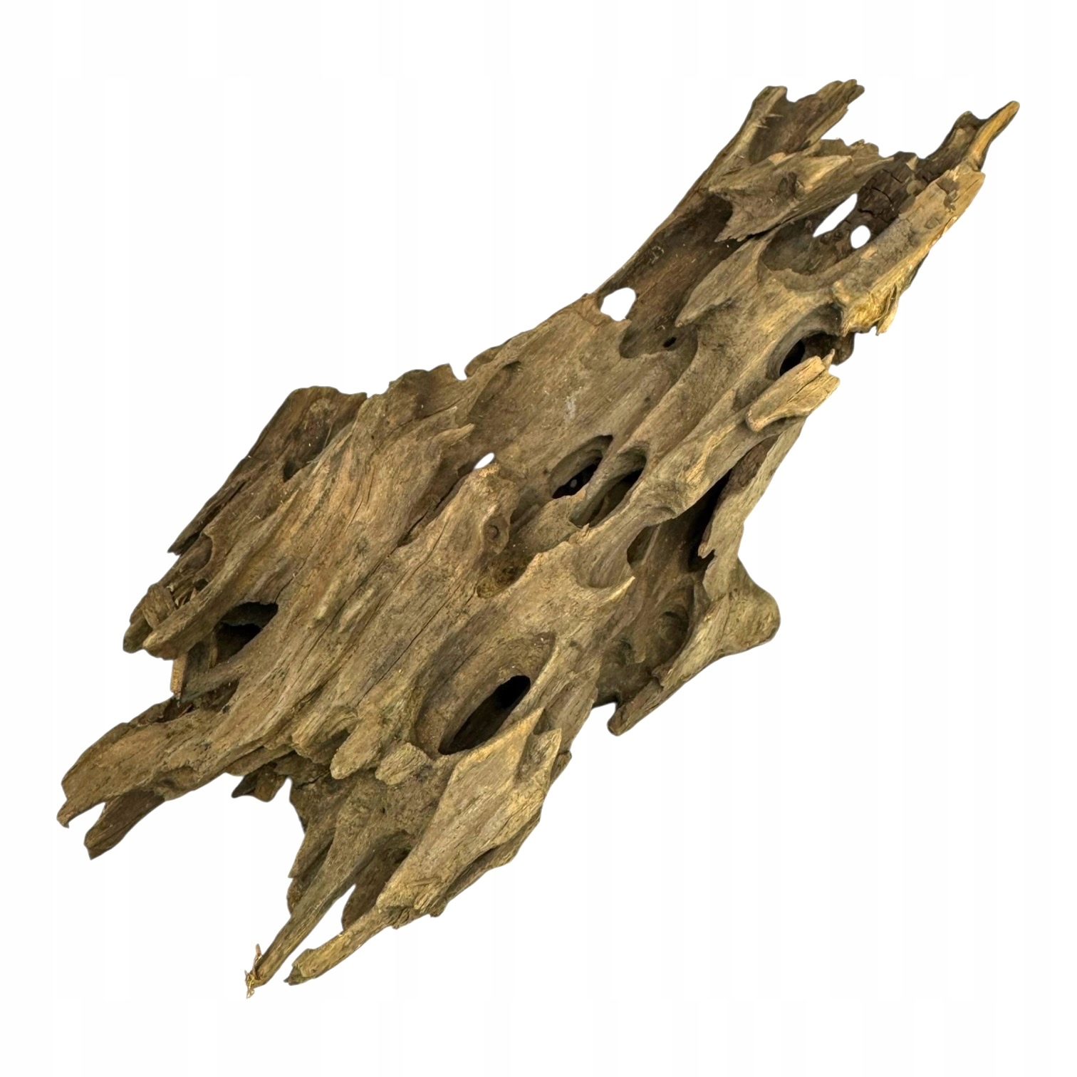 Levně BioRoot Dragon Wood L 40-60 cm Dračí kořen pro terária a akvária