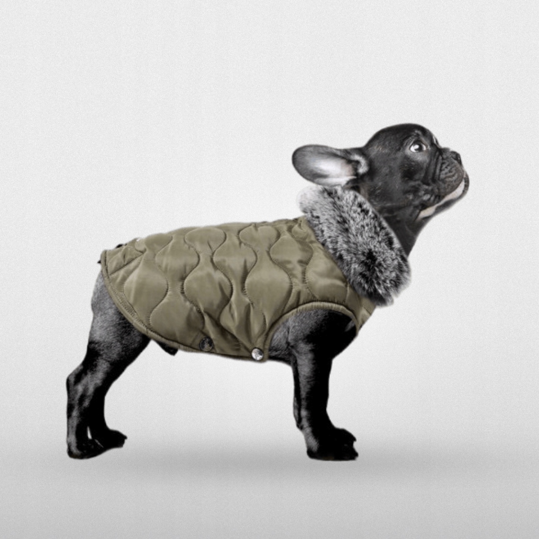 Zimní Péřová Olivová Bunda Pro Psa Milk&pepper Theodore Khaki T38A