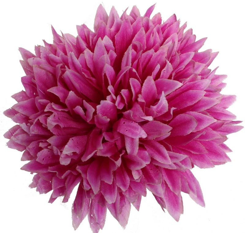 

Chryzantema Główka Asterkowa Wrzosowa 13 cm