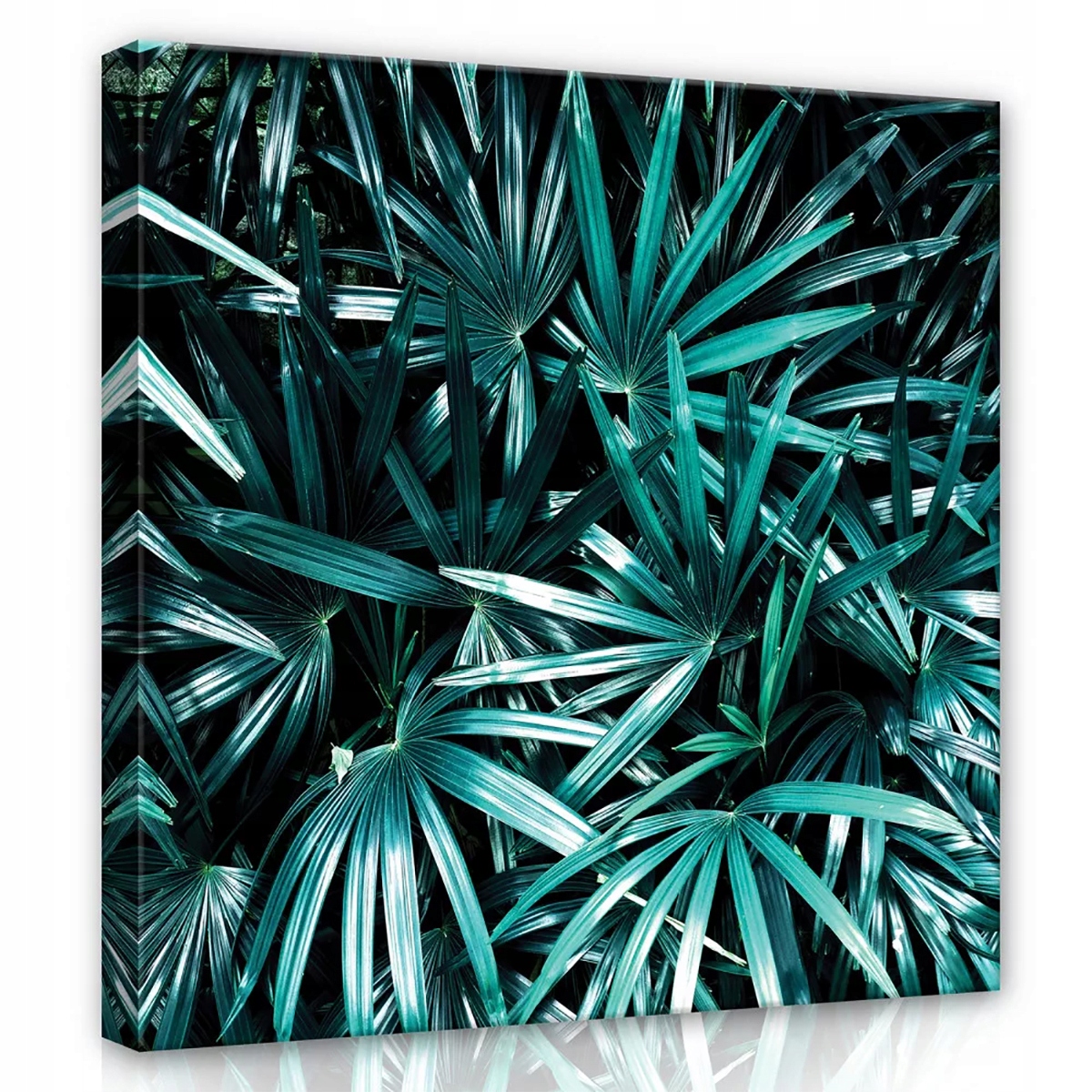 Obraz Na Plátně Canvas 80x80 Listy Džungle