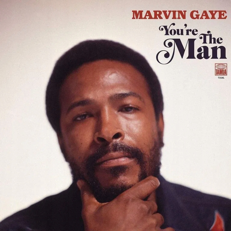 Marvin Gaye: You're The Man 2Vinyl (lp)