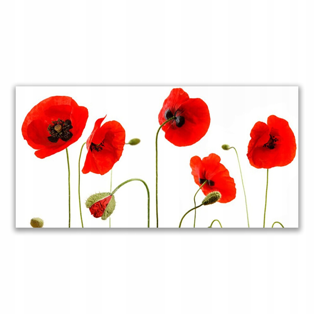 

Obraz z grafiką ścienny 120x60 Maki Roślina Natura