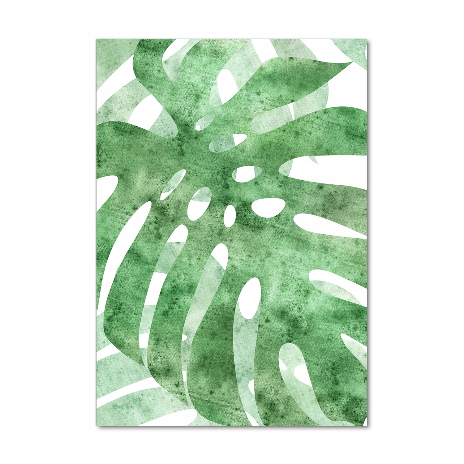 

Foto obraz akrylowy na ścianę Monstera 70x100 cm