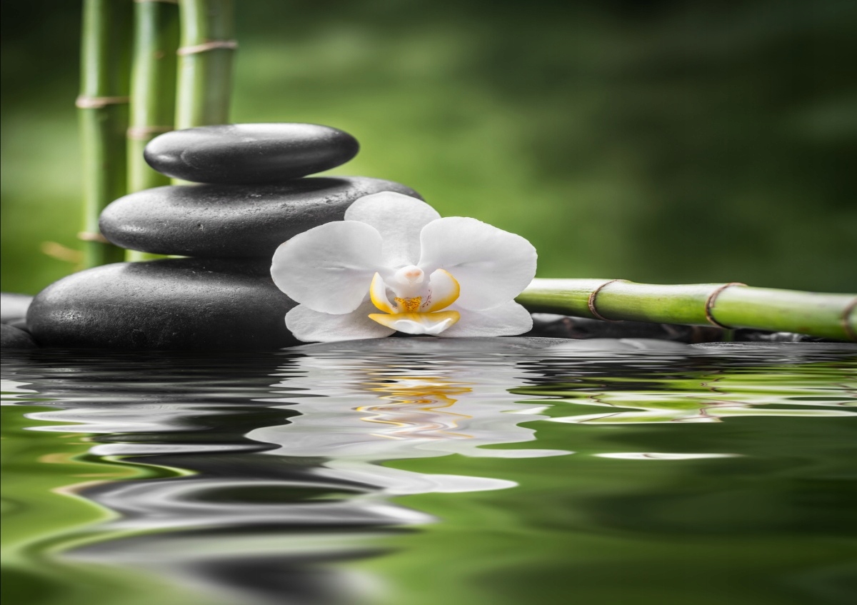 

Tapeta flizelinowa Orchidea i Zen 312x219