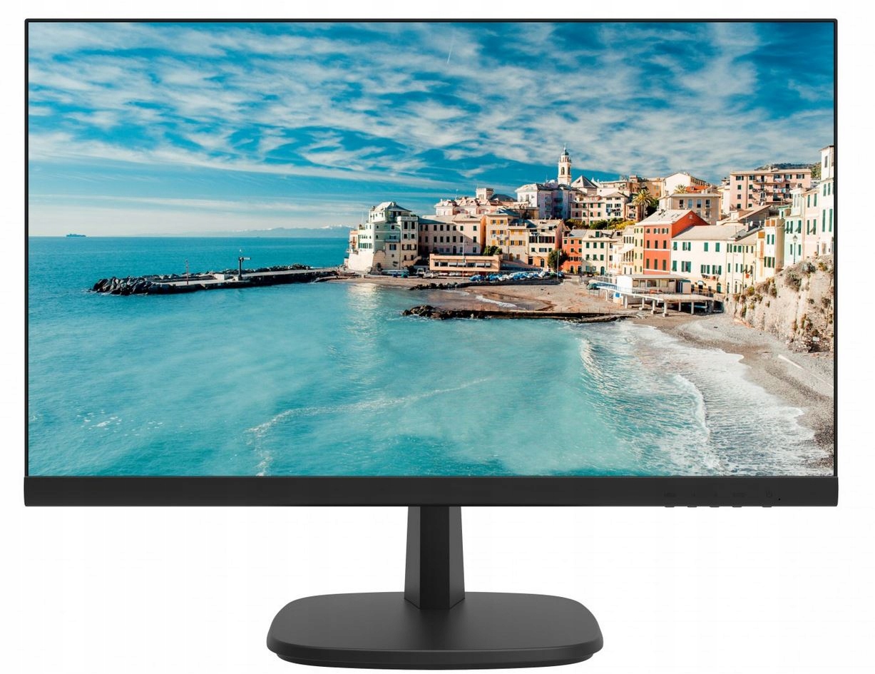 Monitor HIKVISION DS-D5024FN 22" do monitoringu