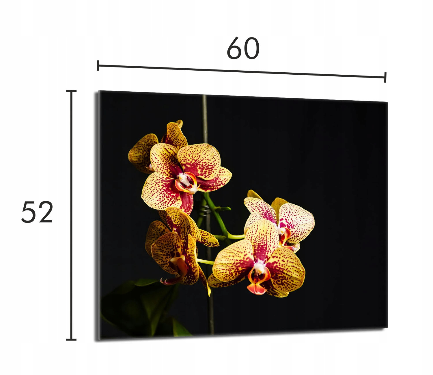

Szklana płyta ochronna na kuchenkę 60x52 Orchidea
