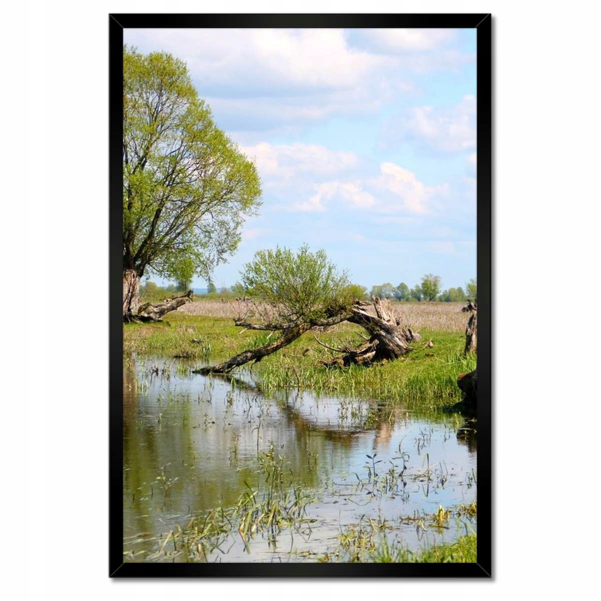 Plakáty v rámu 40x60 Warta