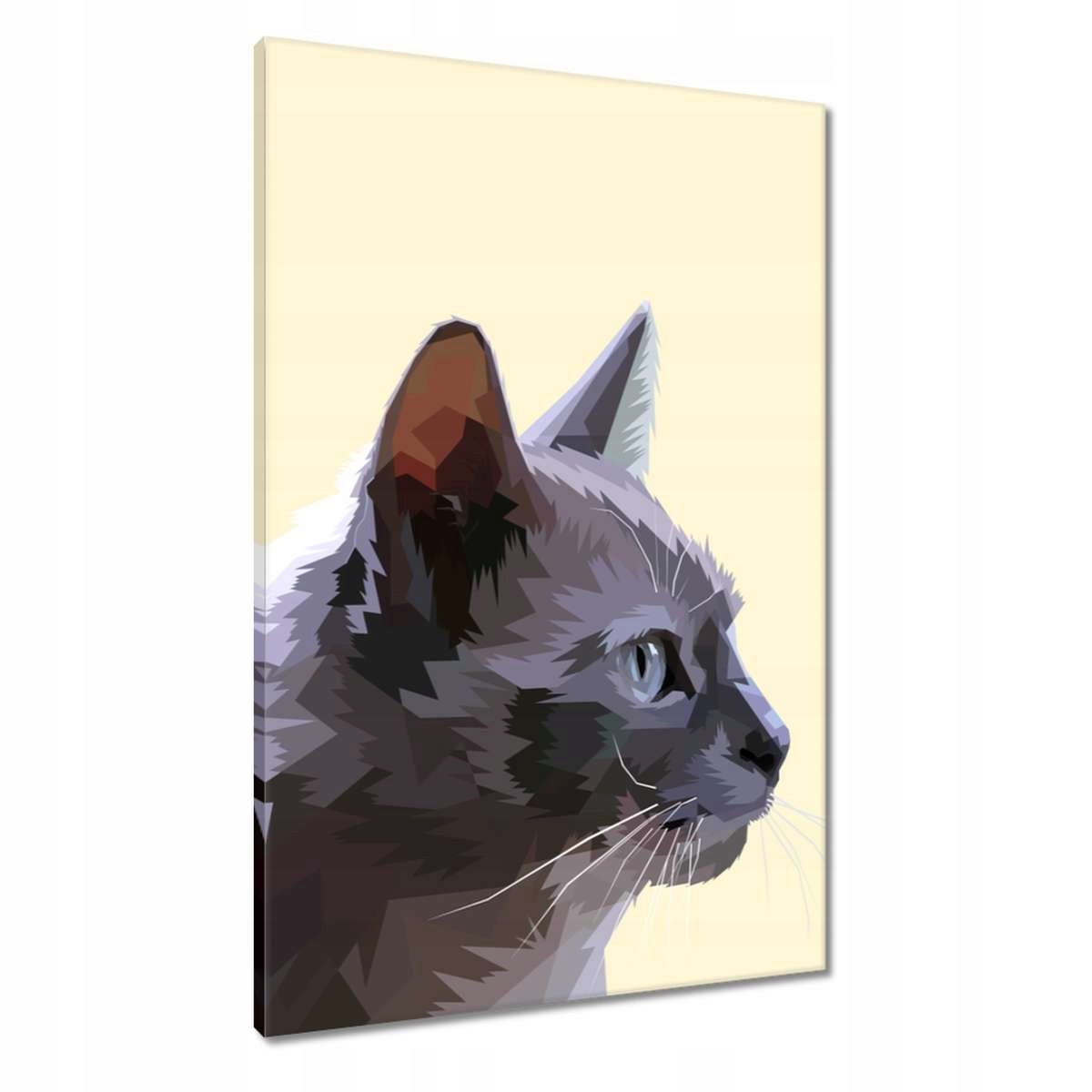 Obrazy 60x90 Kočka Kočky Kočka