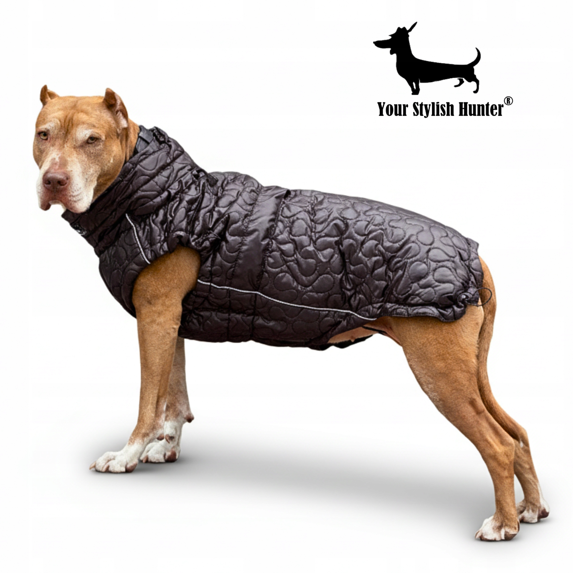 Levně Teplá nepromokavá bunda, oblečení pro velkého psa na zimu, černá, velikost 2XS