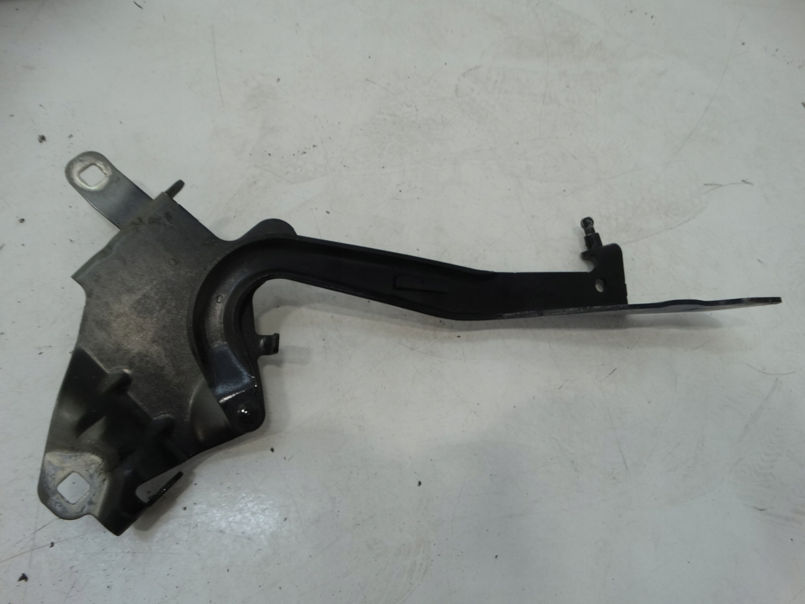 hinge bonnets right front RENAULT SCENIC III 654000004R--L