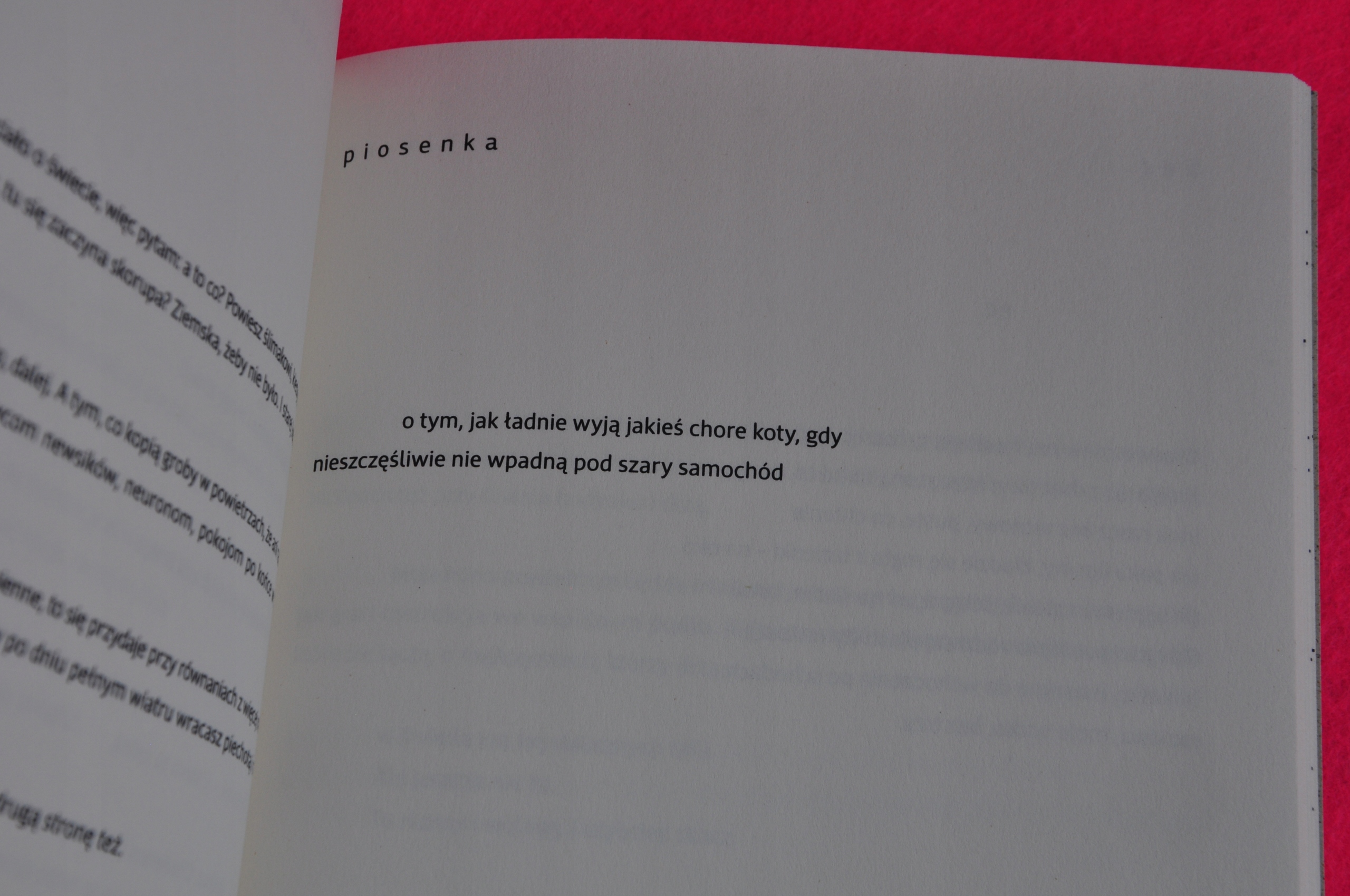 Barbara Klicka, Allel Język publikacji polski