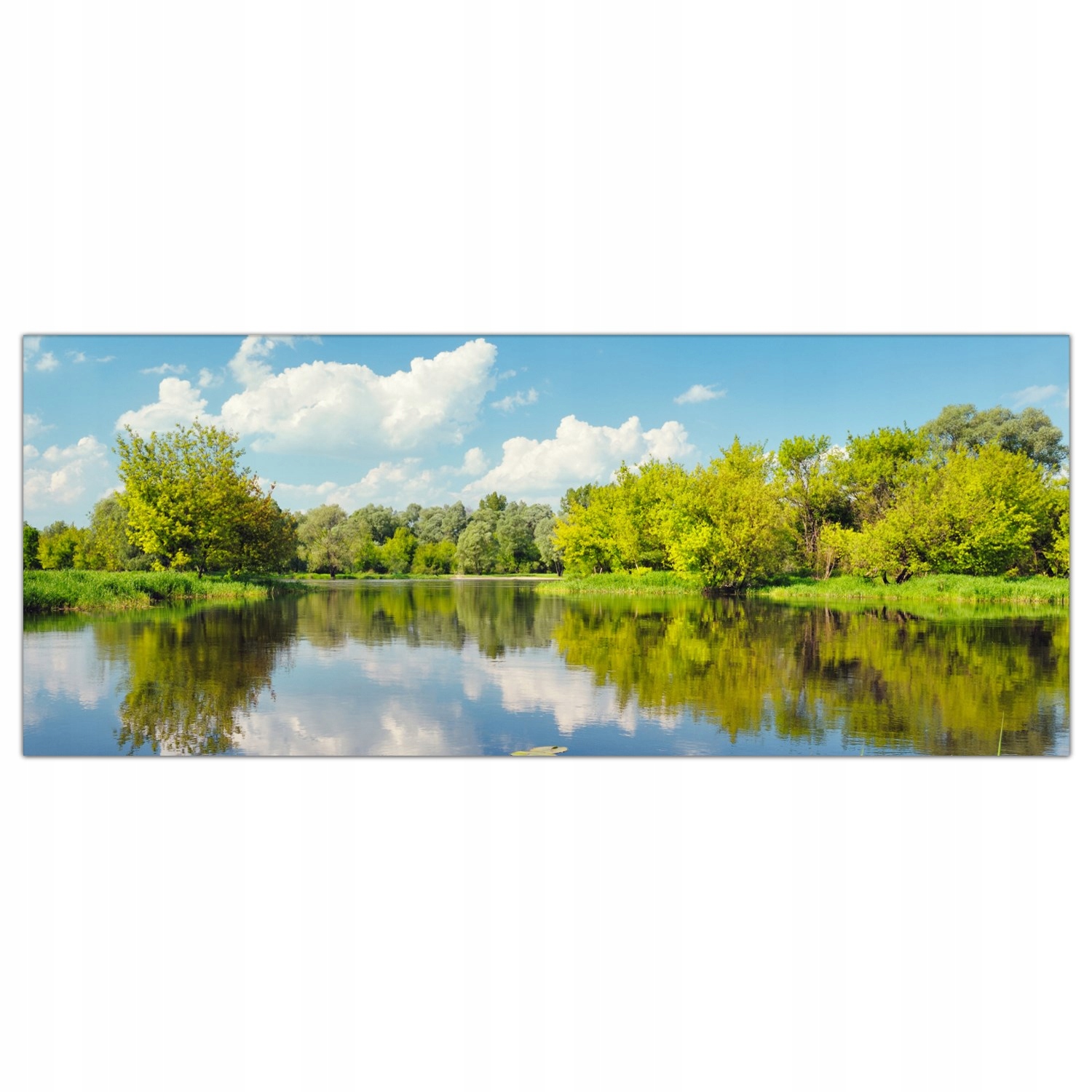 

Hartowany Obraz Szklany Woda Narew Rzeka 125x50