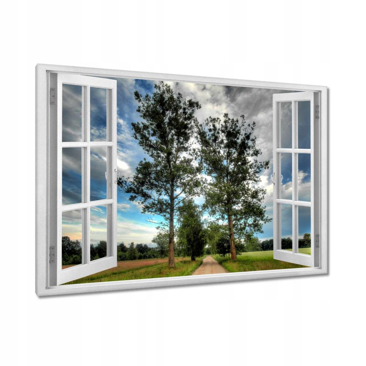Obrazy 120x80 Venkovská cesta