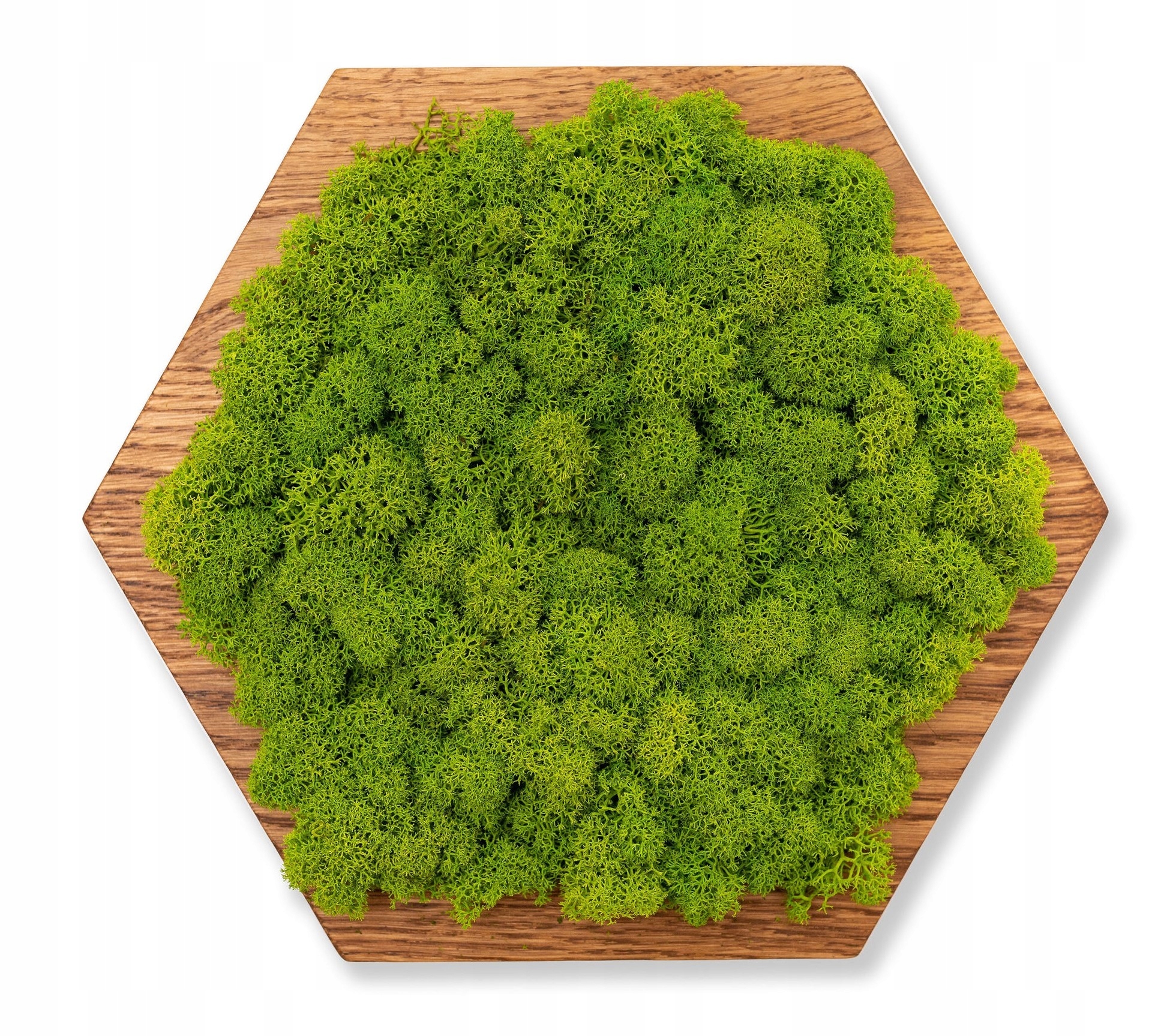 PANELE ŚCIENNE MECH CHROBOTEK HEKSAGON JASNY MIDI