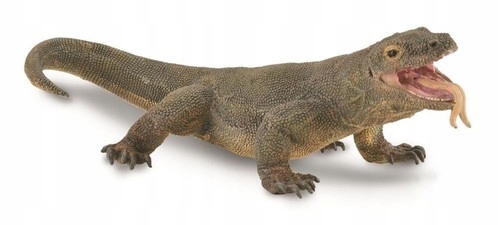 

Waran z Komodo