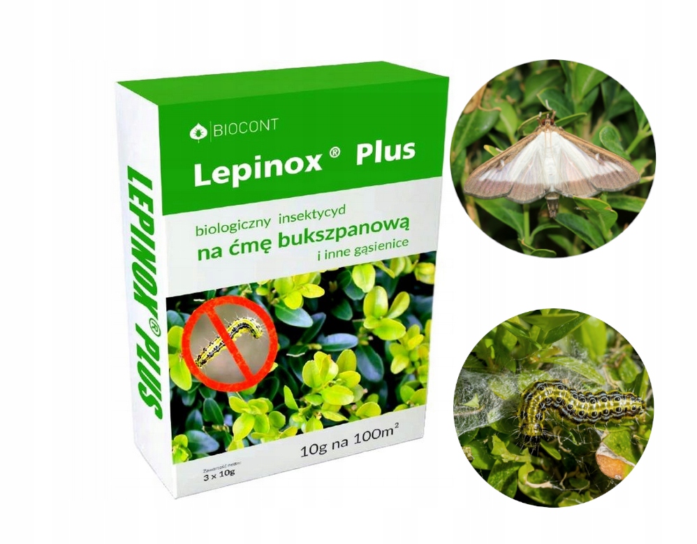 

Lepinox Plus 3x10G Ćma Bukszpanowa Gąsienice