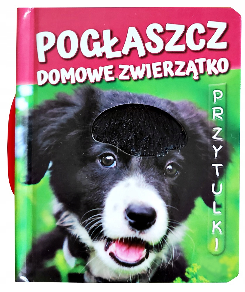 

Książeczka Książka Pogłaszcz Domowe Zwierzątko