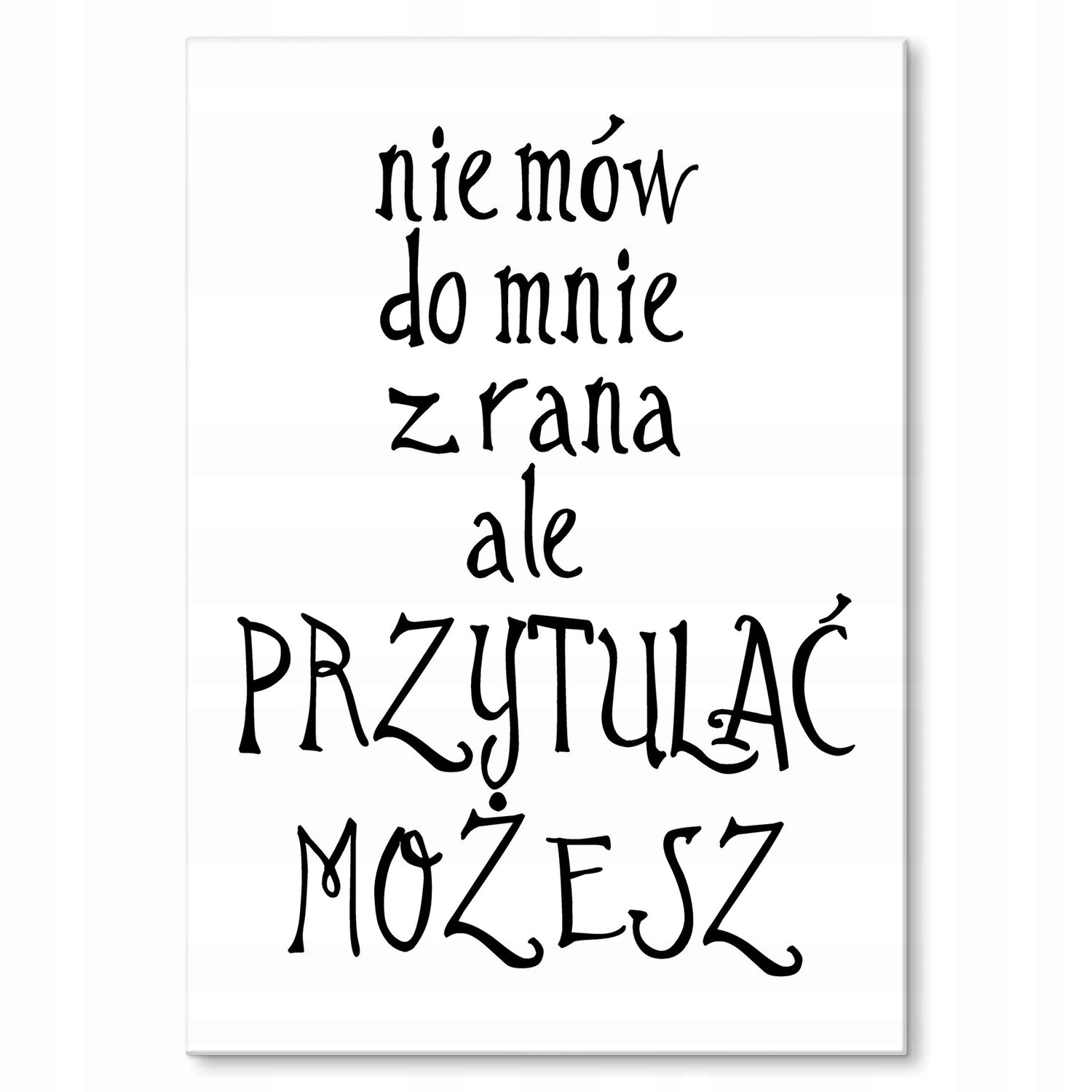 Kovový plakát Neříkej mi Dárek 30 x 42 cm