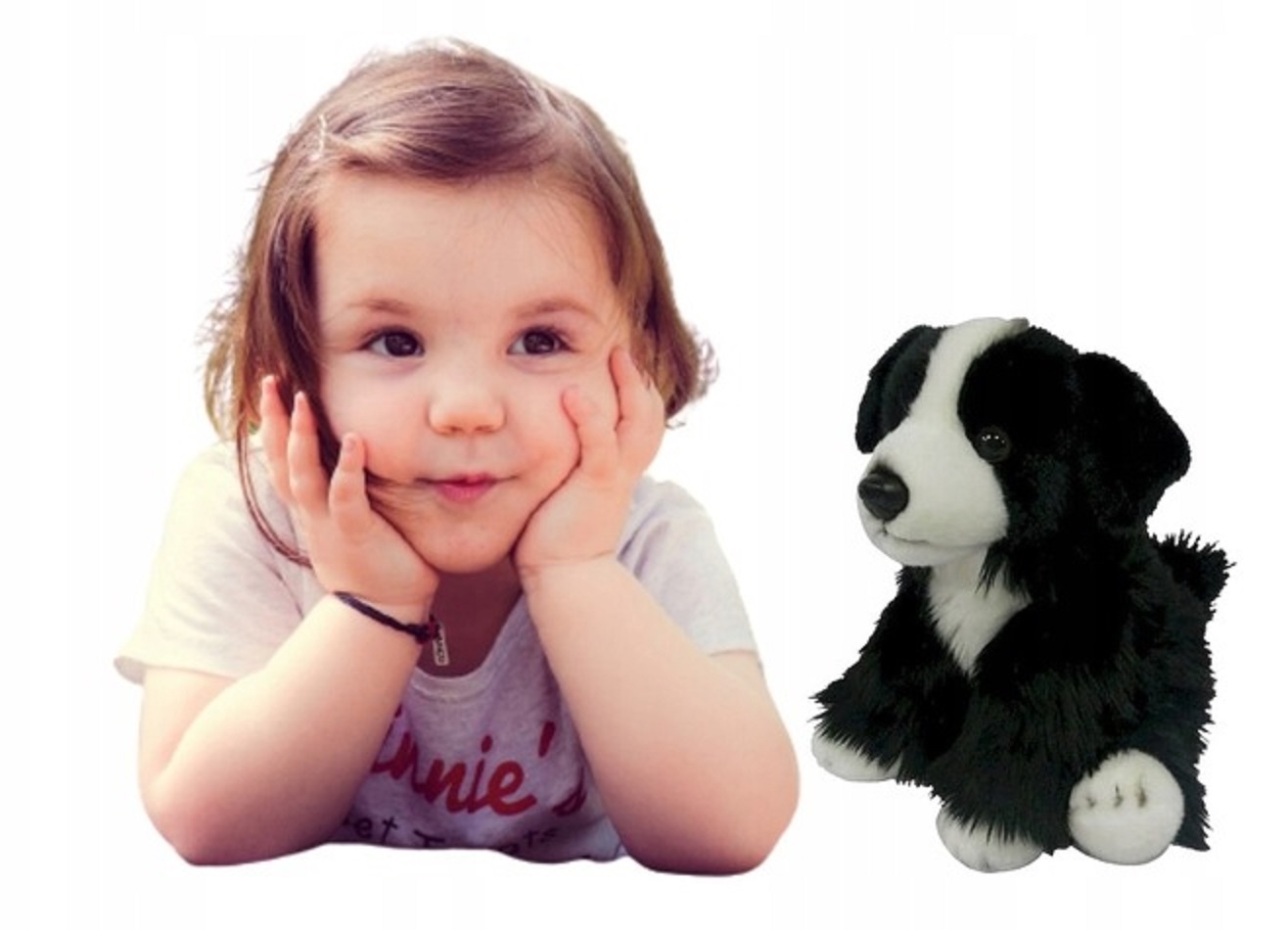 

Pluszowy pies border collie 30cm Smily Play
