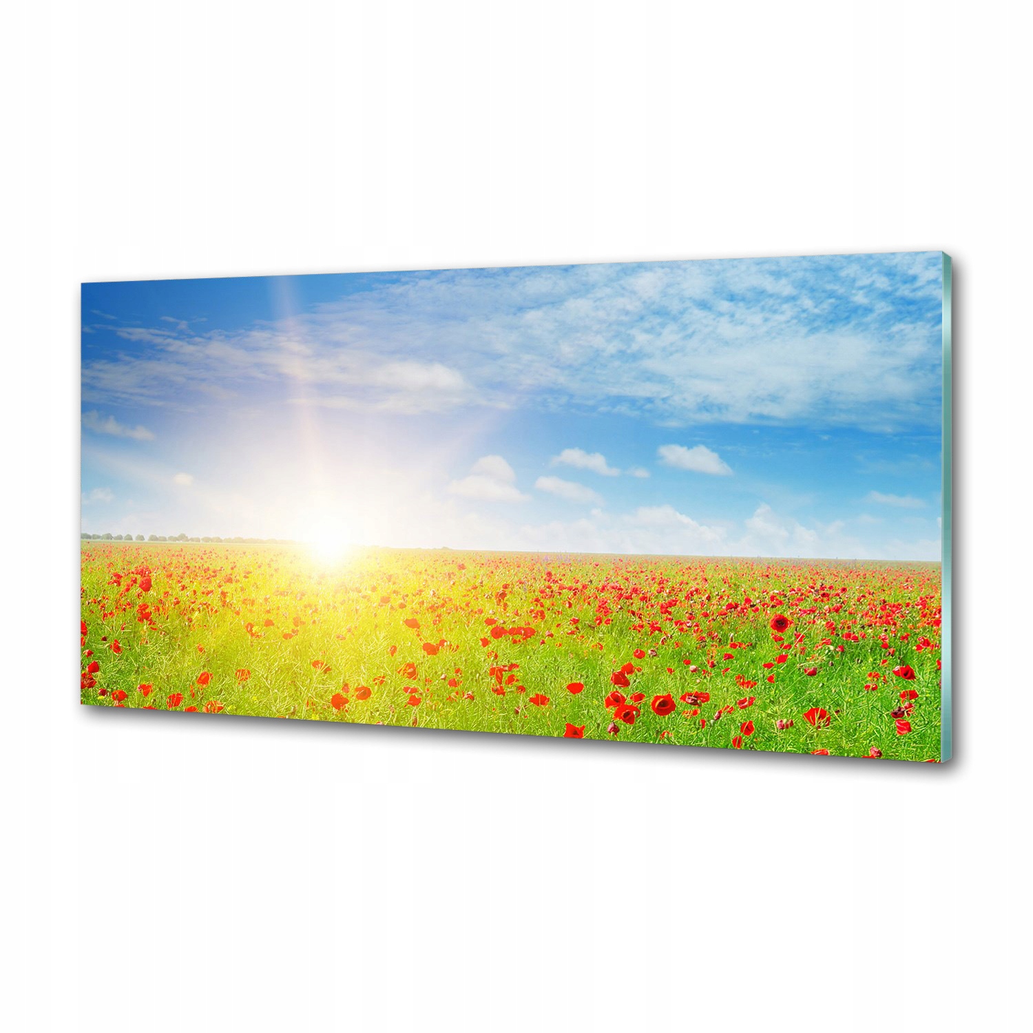 Panel dekor sklo Makové pole 100x50 cm Lepidlo