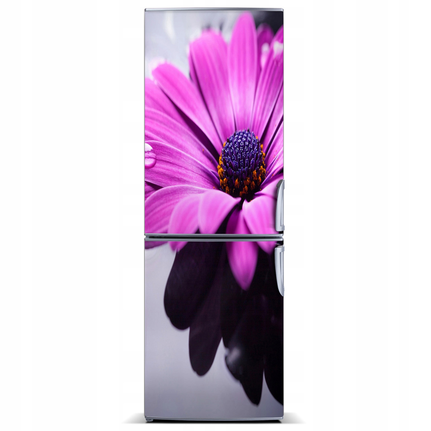 

Naklejka Magnes na lodówkę Różowa gerbera 60x180