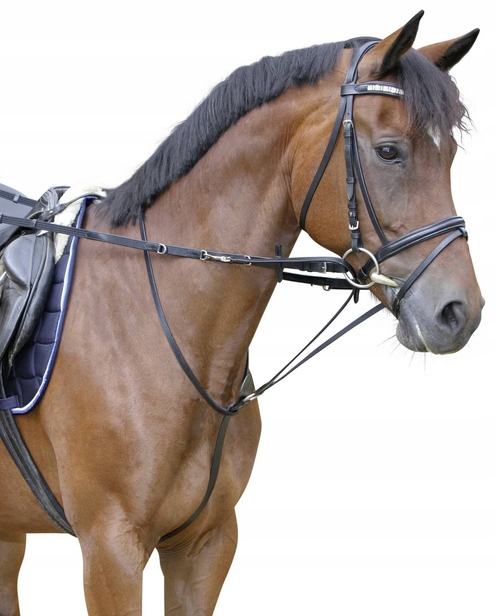 Kožené Otěže Thiedermann Černá Full Covalliero