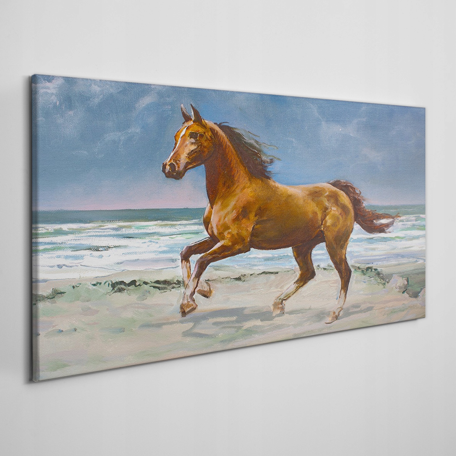 

Obraz płótno Plaża wybrzeże koń morze fale 120x60