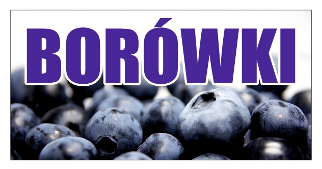 

Baner Borówki 100x200 A Sprzedaż Borówek