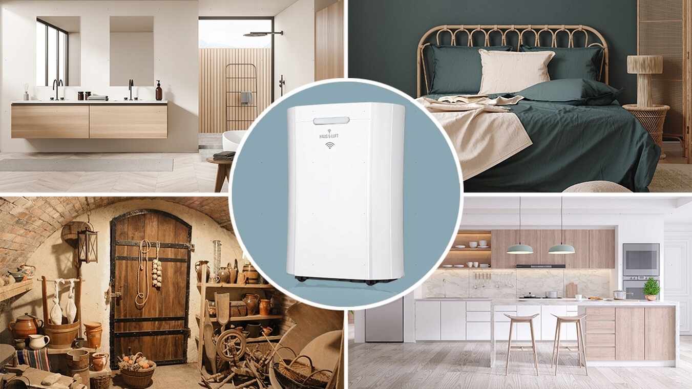 HAUS & LUFT HL-OS-10 - OSUSZACZ POWIETRZA Moc 165 W