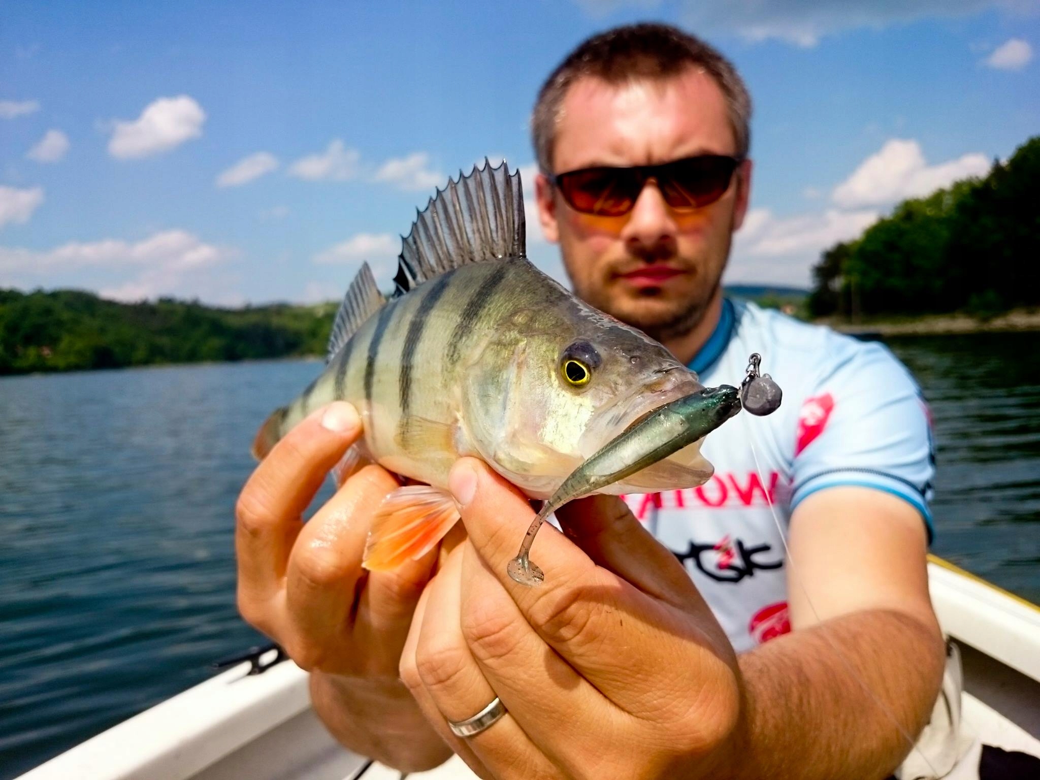 Kopyto FlashJ Shad 4,5 cm Fish Arrow Pstrąg Okoń Model Flash-J Shad