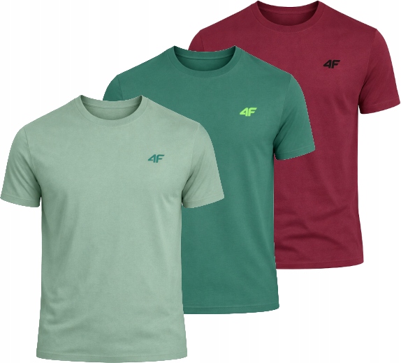 Męska koszulka zestaw 3 sztuk 4F T-shirt 3-pak TSHM3986 41S+43S+60S 3XL