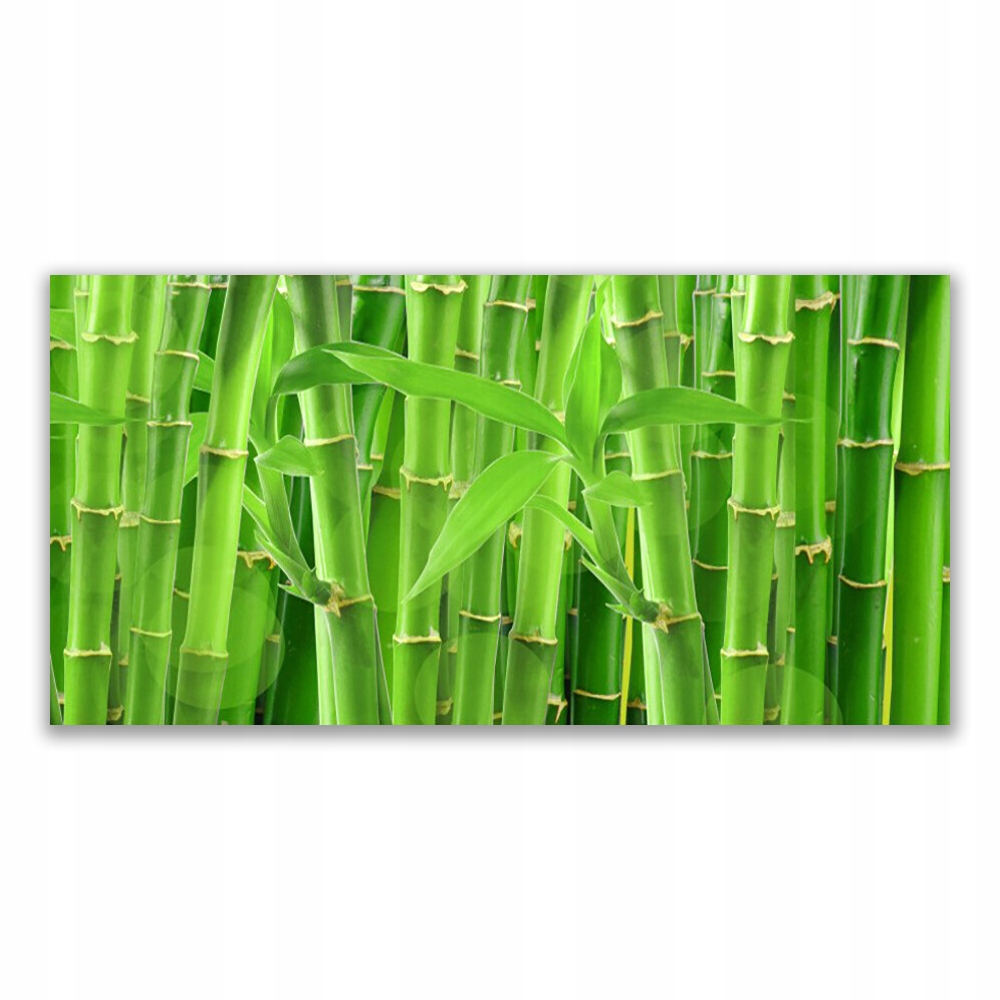 

Obraz akrylowy 140x70 Bambus Łodyga Kwiat Roślina