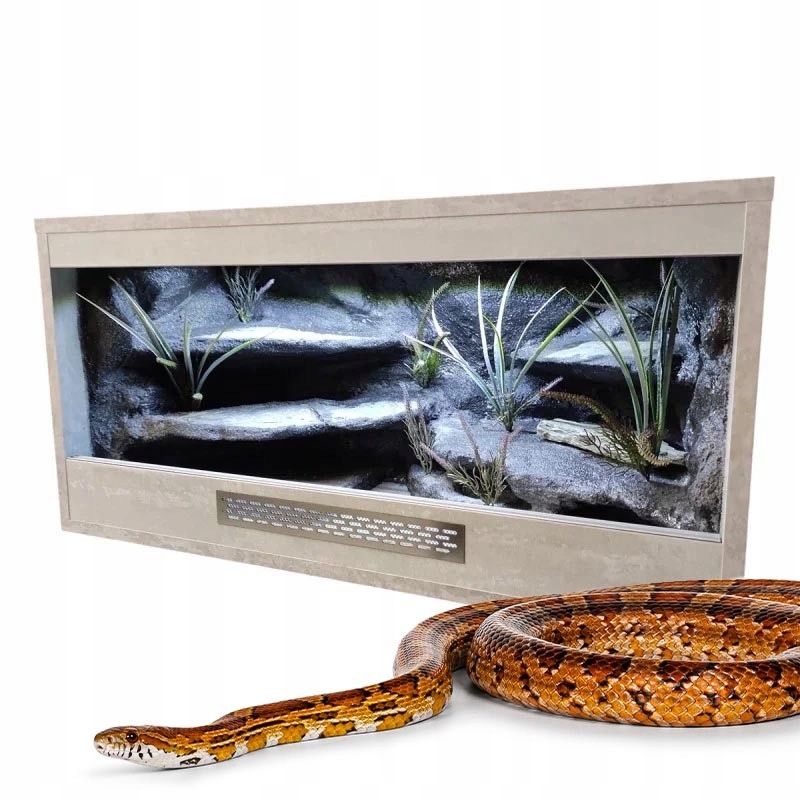 Terrarium dla Węża Zbożowego 80x40x40cm Betonowy