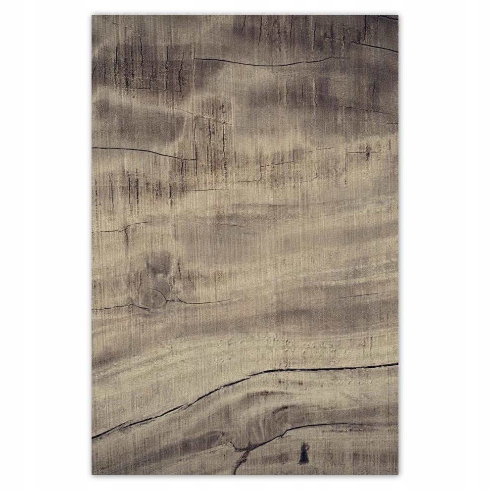 

Plakat 40x60 Słoje drewna Drewno Wood