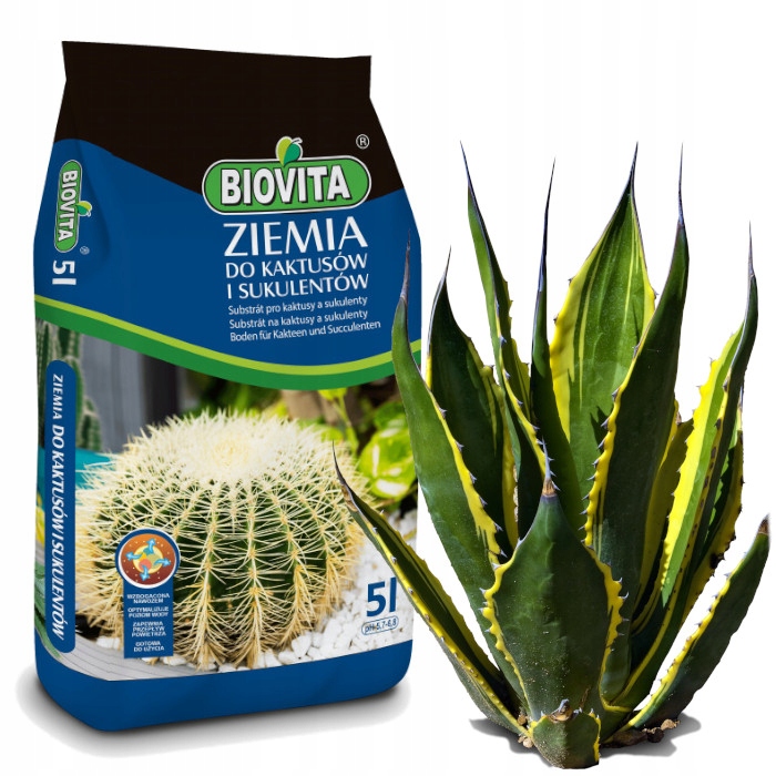 

Podłoże Ziemia Do Kaktusów i Sukulentów Biovita 5L