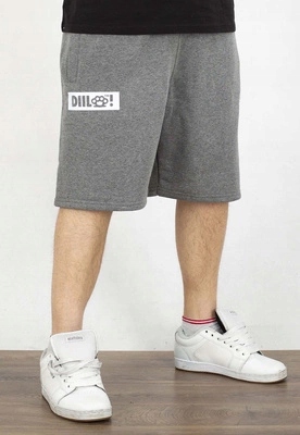 Kraťasy Diil Double Kastet šedé