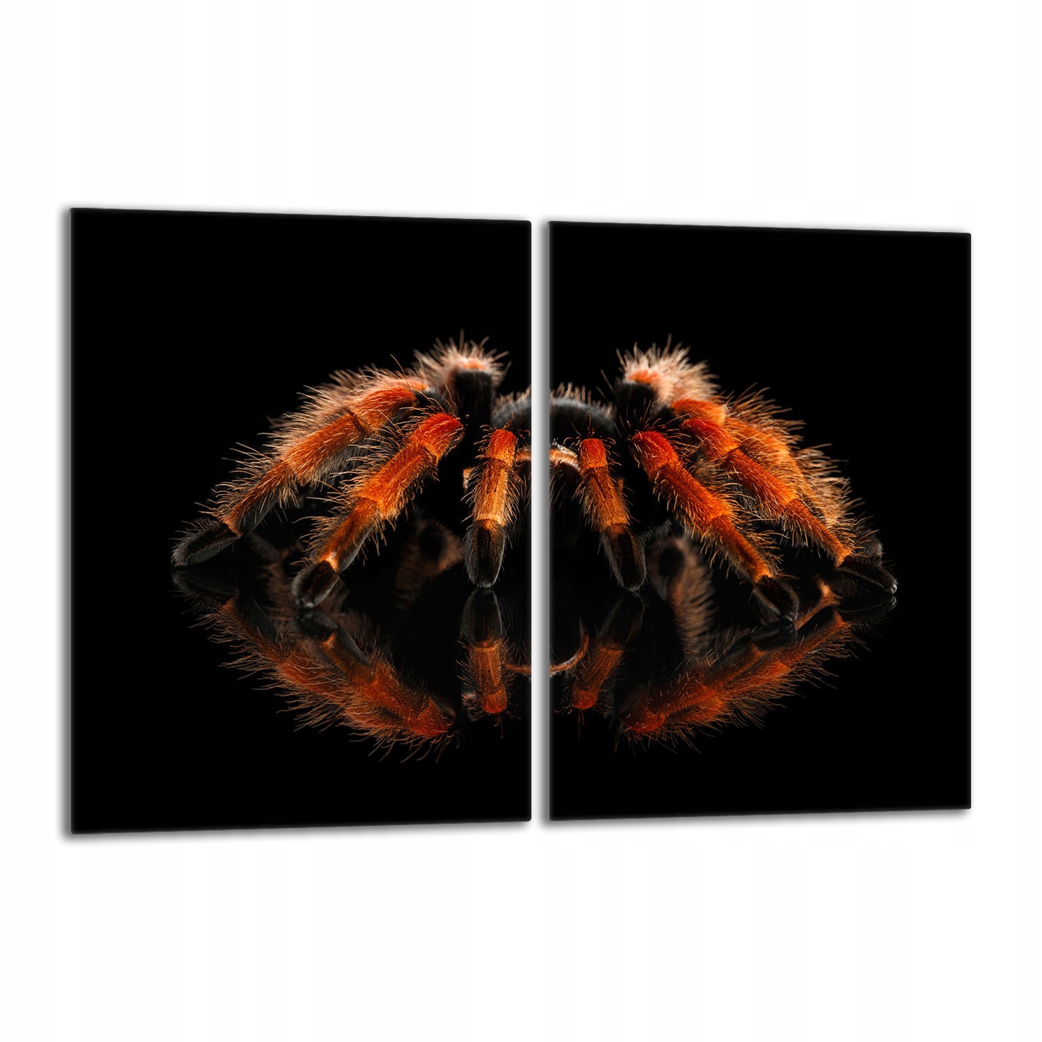 Skleněná ochranná deska na sporák 2x40x52 Pavouk Do Kuchyně