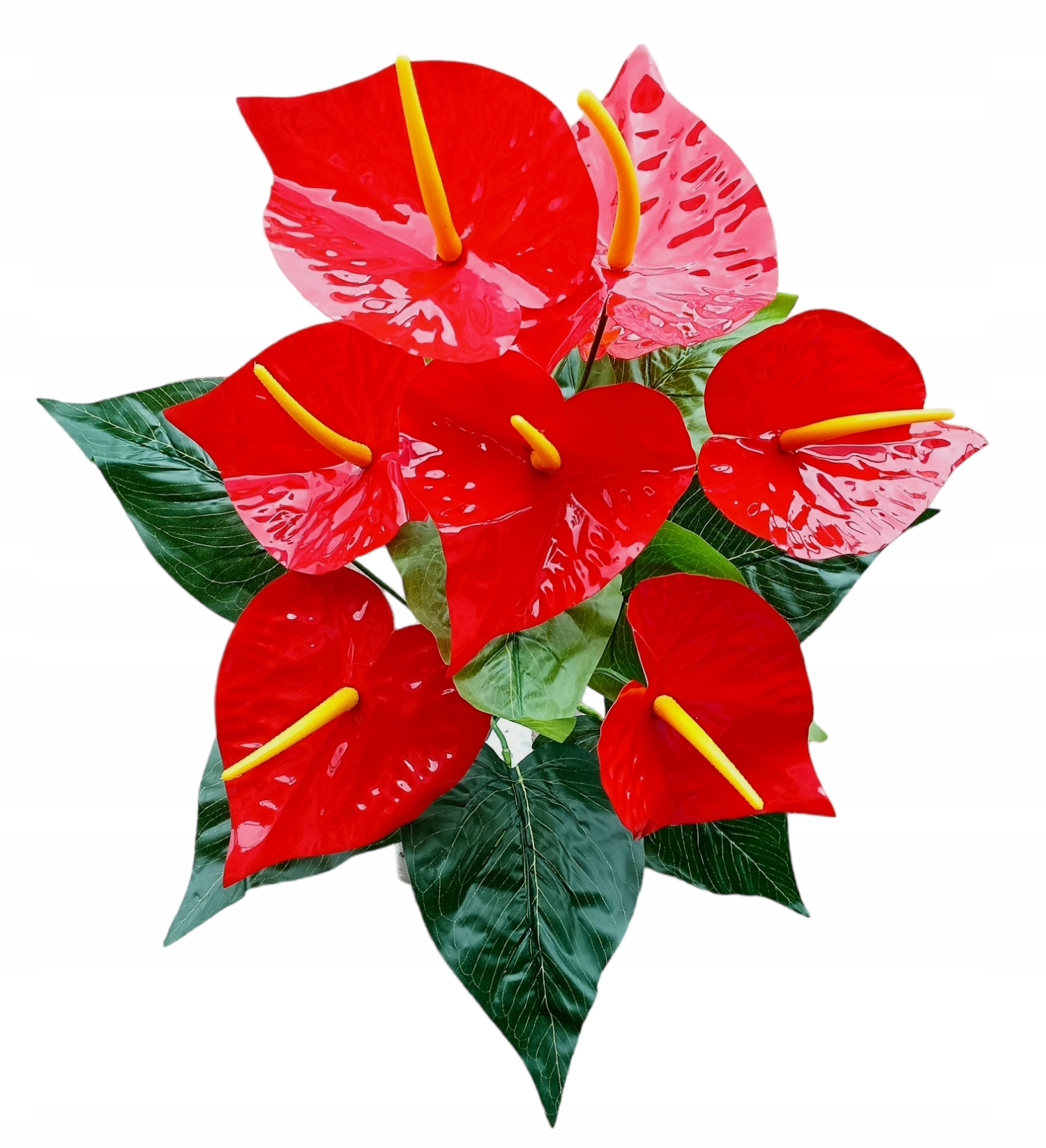 

Anturium Sztuczne Bukiet Sztuczny 18 Łodyg Kwiat